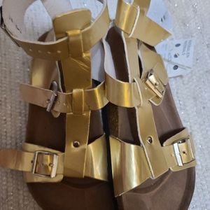 gold gladiator birkenstocks